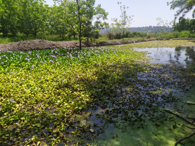 קובץ:2020-06-07T11 09 05.917690258744.jpg