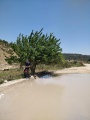 תמונה ממוזערת לגרסה מתאריך 11:00, 10 ביוני 2020