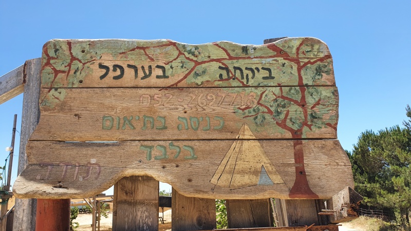 קובץ:2020-06-23T13 03 08.943470314853.jpg