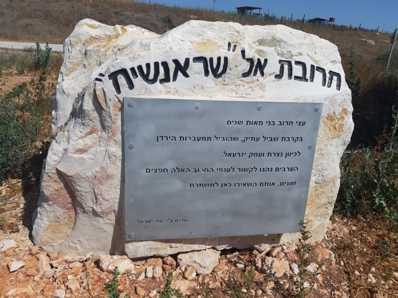 קובץ:2020-07-01T09 56 41.521994166937.jpg