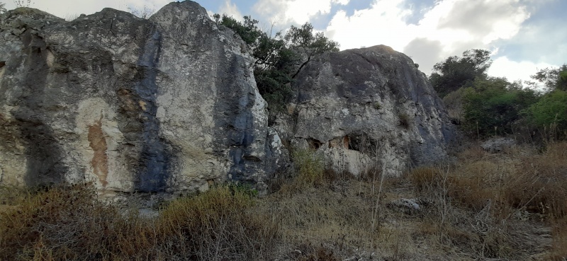 קובץ:2020-07-11T18 13 37.180230374598.jpg