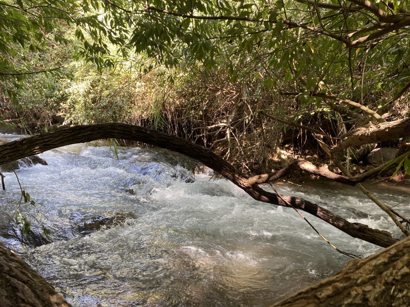 קובץ:2020-08-19T15 35 17.139718997665.jpg