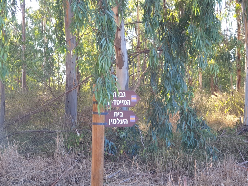 קובץ:2020-08-23T17 52 05.468529911881.jpg