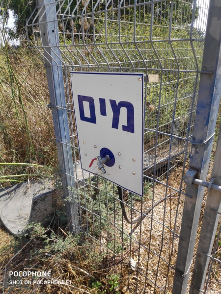 קובץ:2020-09-09T14 01 45.359005496842.jpg