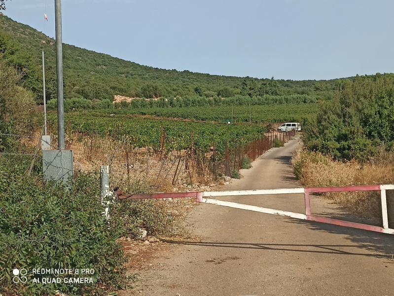 קובץ:2020-09-10T09 11 20.618435442119.jpg