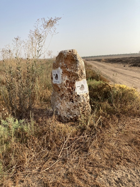 קובץ:2020-09-18T08 13 19.089714384393.jpg