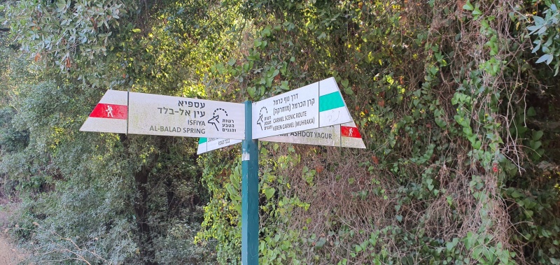 קובץ:2020-09-19T09 16 37.617523521895.jpg