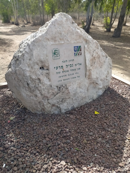 קובץ:2020-10-01T10 59 54.697298108961.jpg