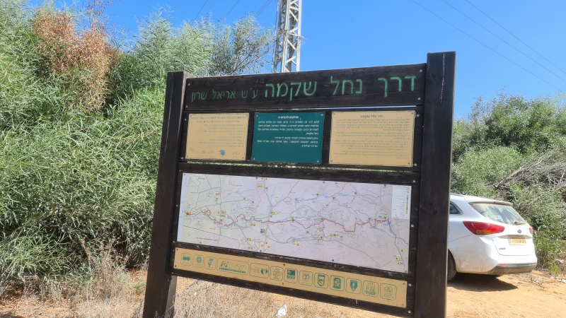 קובץ:2020-10-02T12 36 18.333040328681.jpg