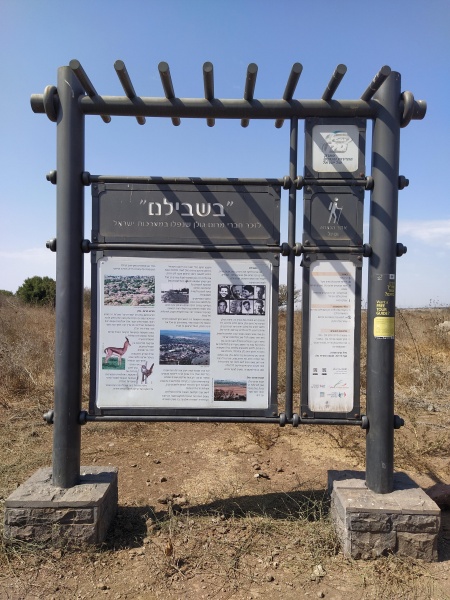 קובץ:2020-10-09T13 00 43.325390344561.jpg