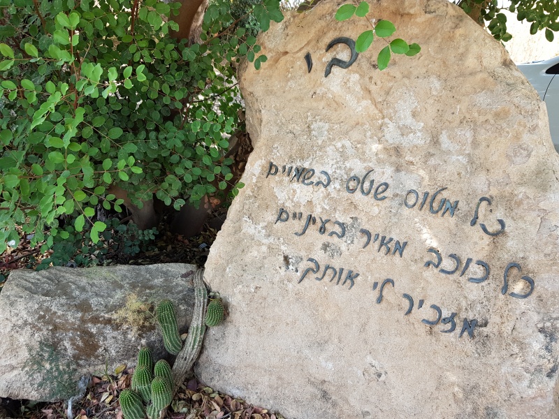 קובץ:2020-10-09T13 26 59.810360737894.jpg