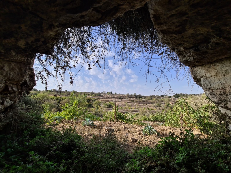 קובץ:2020-10-09T16 31 41.333352451563.jpg