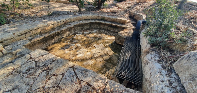 קובץ:2020-10-22T10 59 15.988586900882.jpg