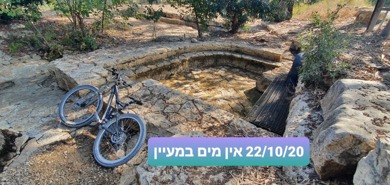 קובץ:2020-10-22T11 07 17.26646293776.jpg