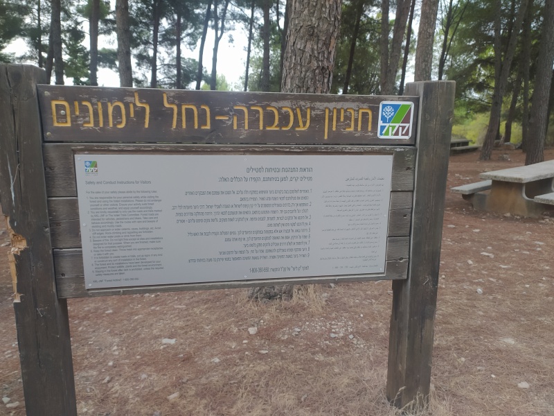 קובץ:2020-10-31T06 30 38.644754578600.jpg