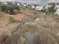 תמונה ממוזערת לגרסה מתאריך 09:27, 3 בנובמבר 2020