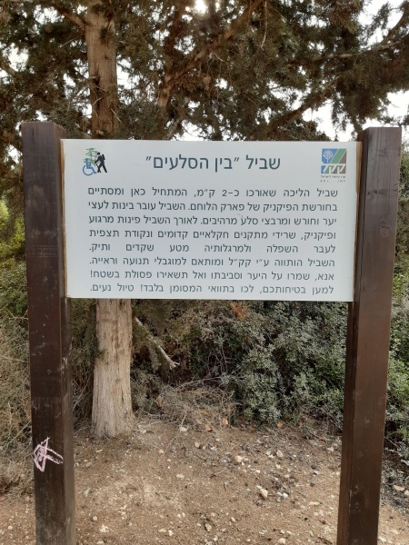 קובץ:2020-11-03T14 26 16.854741644121.jpg