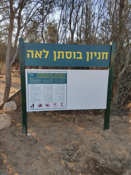 קובץ:2020-11-07T06 57 34.496724250769.jpg