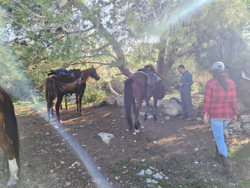 קובץ:2020-12-04T10 08 09.978791511919.jpg