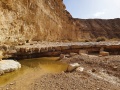 תמונה ממוזערת לגרסה מתאריך 14:19, 15 בדצמבר 2020