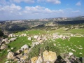 תמונה ממוזערת לגרסה מתאריך 10:35, 18 בדצמבר 2020