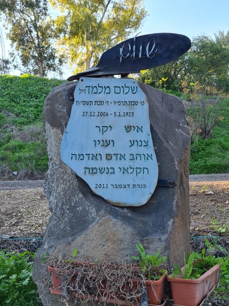 קובץ:2020-12-26T14 47 52.326471520398.jpg