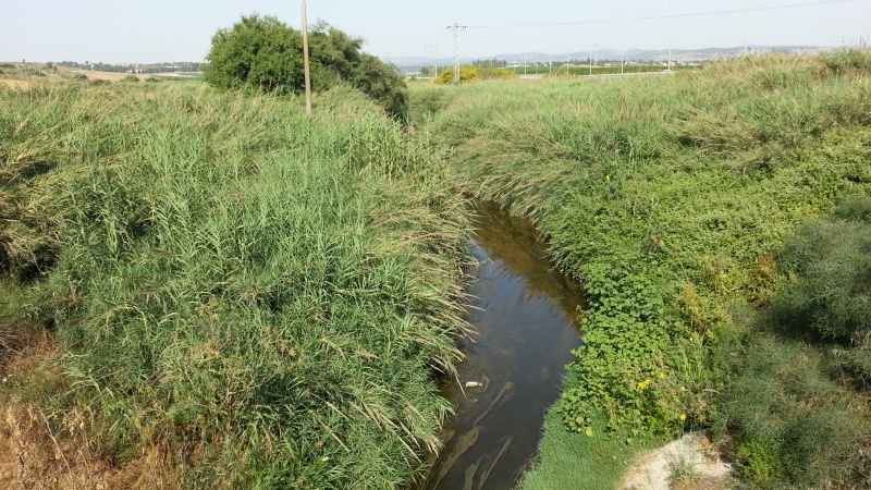 קובץ:2020.06.08-174830.446.android.jpg