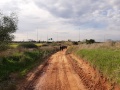 תמונה ממוזערת לגרסה מתאריך 10:49, 10 בדצמבר 2020