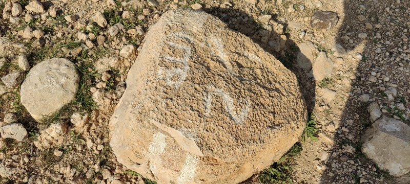 קובץ:2021-01-02T14 05 21.152978676714.jpg