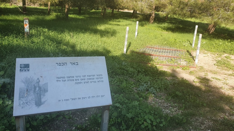 קובץ:2021-01-08T12 55 57.67271682257.jpg