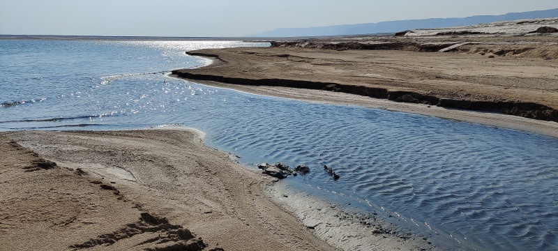 קובץ:2021-01-09T12 10 32.948902717248.jpg