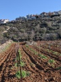 תמונה ממוזערת לגרסה מתאריך 17:05, 10 בינואר 2021