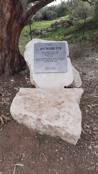 קובץ:2021-01-13T09 47 55.908387378386.jpg