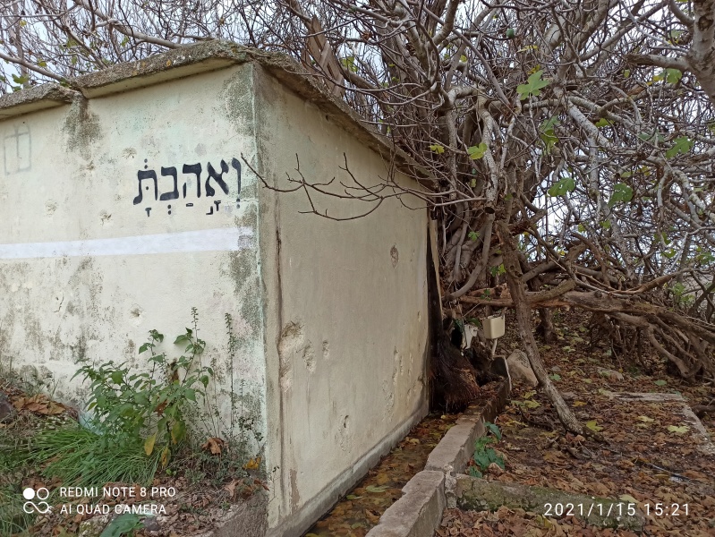 קובץ:2021-01-15T15 21 10.690987895747.jpg