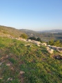 תמונה ממוזערת לגרסה מתאריך 14:35, 1 בפברואר 2021