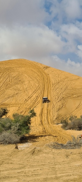 קובץ:2021-02-06T15 07 56.974074661078.jpg