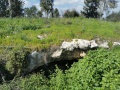 תמונה ממוזערת לגרסה מתאריך 09:25, 13 בפברואר 2021