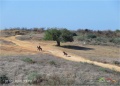 תמונה ממוזערת לגרסה מתאריך 05:43, 15 בפברואר 2021