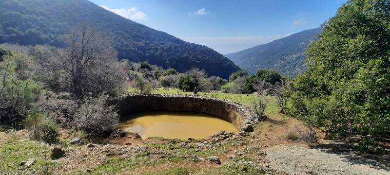 קובץ:2021-02-26T20 18 33.457347450607.jpg