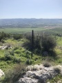 תמונה ממוזערת לגרסה מתאריך 07:52, 27 בפברואר 2021