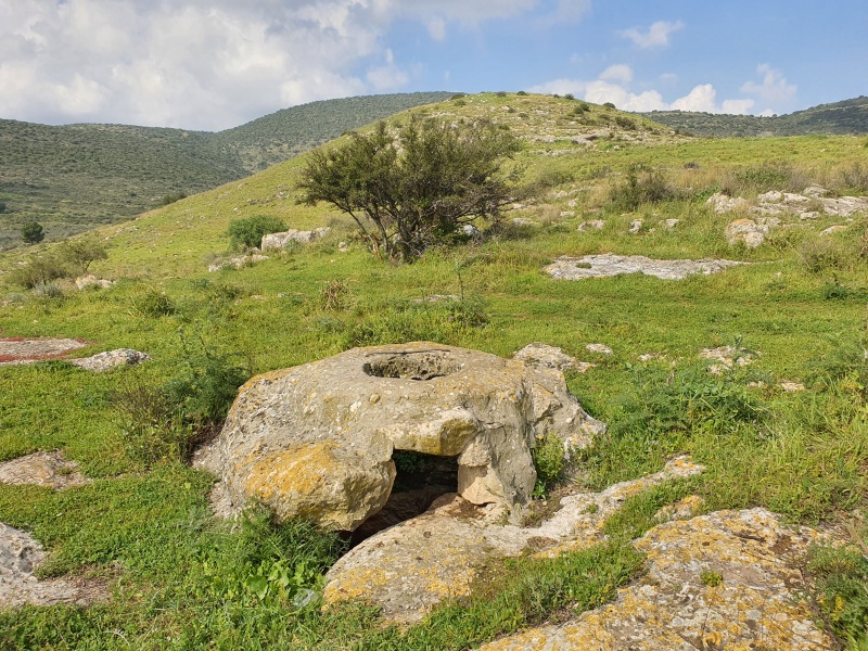 קובץ:2021-03-02T14 06 15.536926851404.jpg