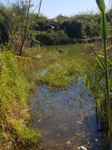 קובץ:2021-03-06T14 04 11.078110636142.jpg