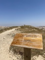 תמונה ממוזערת לגרסה מתאריך 10:07, 29 במרץ 2021