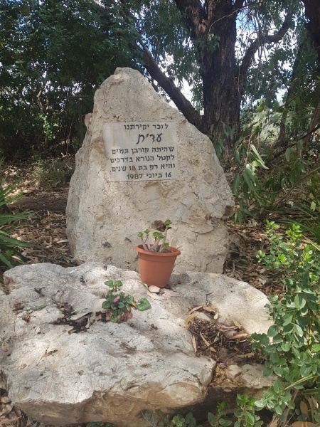 קובץ:2021-04-02T14 06 46.334355716955.jpg