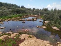 תמונה ממוזערת לגרסה מתאריך 07:04, 11 בספטמבר 2021