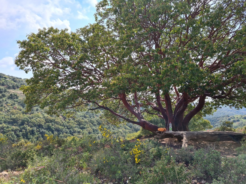 קובץ:2021-04-03T15 04 18.290476167923.jpg