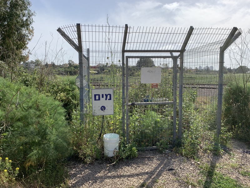 קובץ:2021-04-08T15 54 44.353720675956.jpg