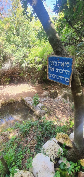 קובץ:2021-04-16T11 21 05.495338427048.jpg