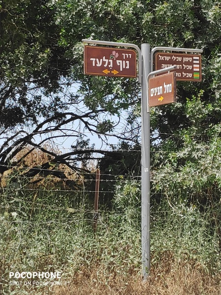 קובץ:2021-05-11T10 53 54.681553341540.jpg