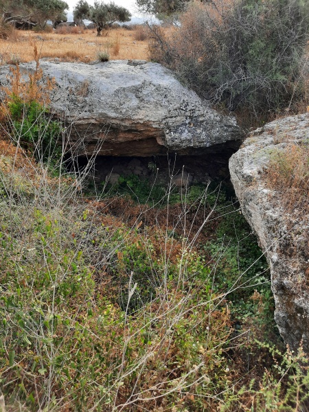 קובץ:2021-05-21T07 32 21.744413507042.jpg